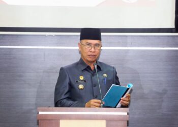 Bupati Anambas Aneng saat menyampaikan Nota Pengantar LKPJ di Paripurna DPRD Anambas