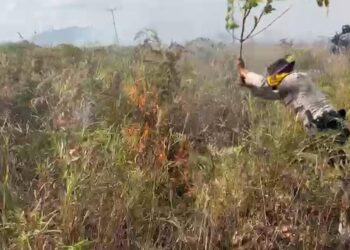 Kapolsek Bunguran Barat dan Personelnya Padamkan 50 Hektar Hutan dengan Cara Manual