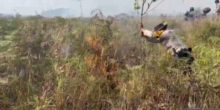 Kapolsek Bunguran Barat dan Personelnya Padamkan 50 Hektar Hutan dengan Cara Manual