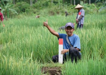 Mudik ke Kampung Halaman? Jaga Batas Tanah sebagai Langkah Awal Cegah Konflik Antartetangga