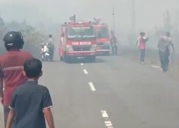 Kolaborasi Damkar dan Polres Natuna Padamkan Kebakaran di Jalur Binjai