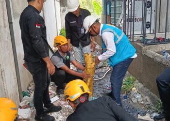 Bongkar Tambang Bitcoin Ilegal Di Tanjungpinang, PLN Kirim Teguran Kedua Dan Siap Bawa Kasus Ke Polisi