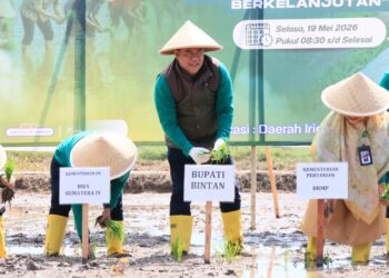 Tanam Bersama di Bintan Buyu, Sekda Ronny Kartika Yakin Pertanian Bintan Jadi Kekuatan Baru Ketahanan Pangan