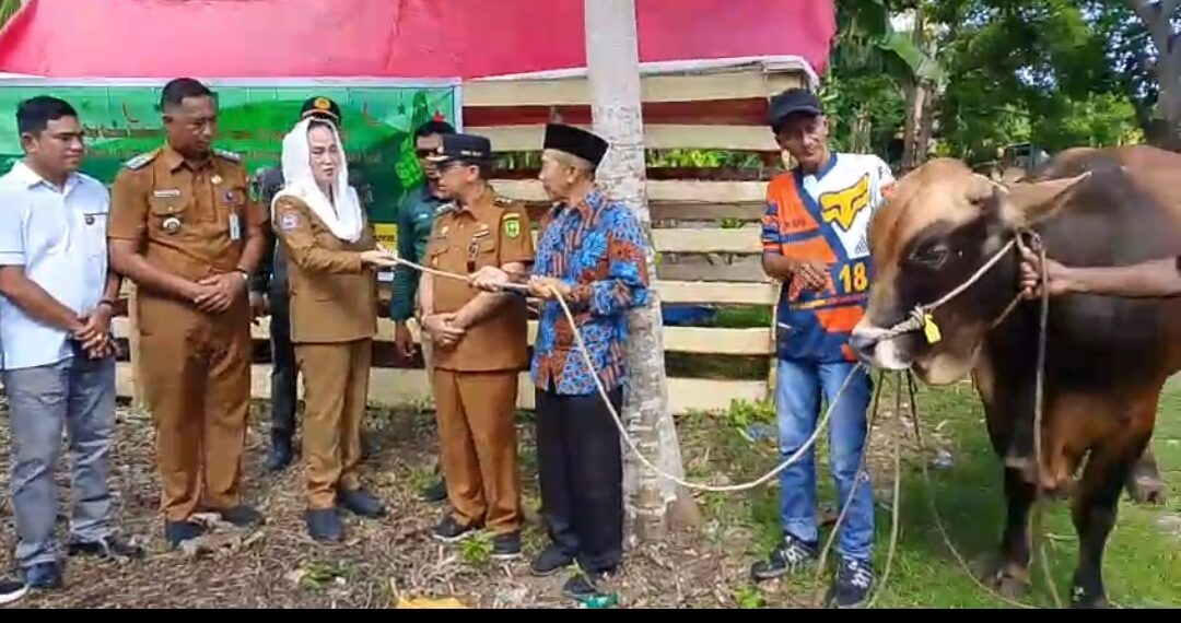 Bupati Natuna, Cen Sui Lan saat menyerahkan sapi kurban Presiden RI kepada pengurus Masjid Al-Ihyak Desa Air Payang, Kecamatan Pulau Laut, saat melaksanakan kunjungan kerja ke wilayah tersebut, Kamis (21/05/26) pagi.