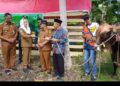 Bupati Natuna, Cen Sui Lan saat menyerahkan sapi kurban Presiden RI kepada pengurus Masjid Al-Ihyak Desa Air Payang, Kecamatan Pulau Laut, saat melaksanakan kunjungan kerja ke wilayah tersebut, Kamis (21/05/26) pagi.