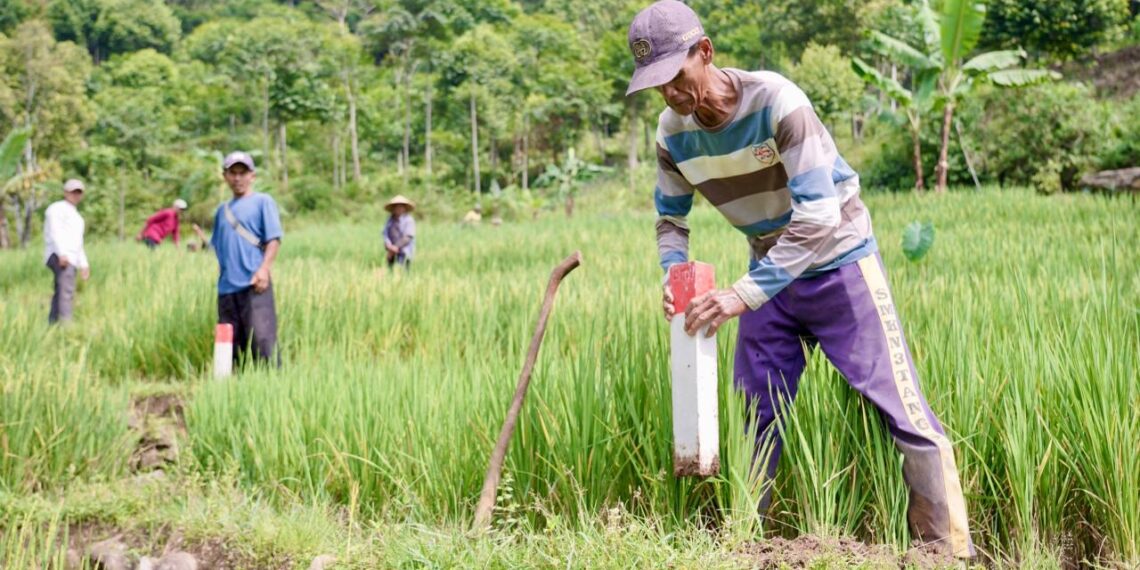 Pasang Patok, Cara Sederhana Cegah Sengketa Tanah dengan Tetangga