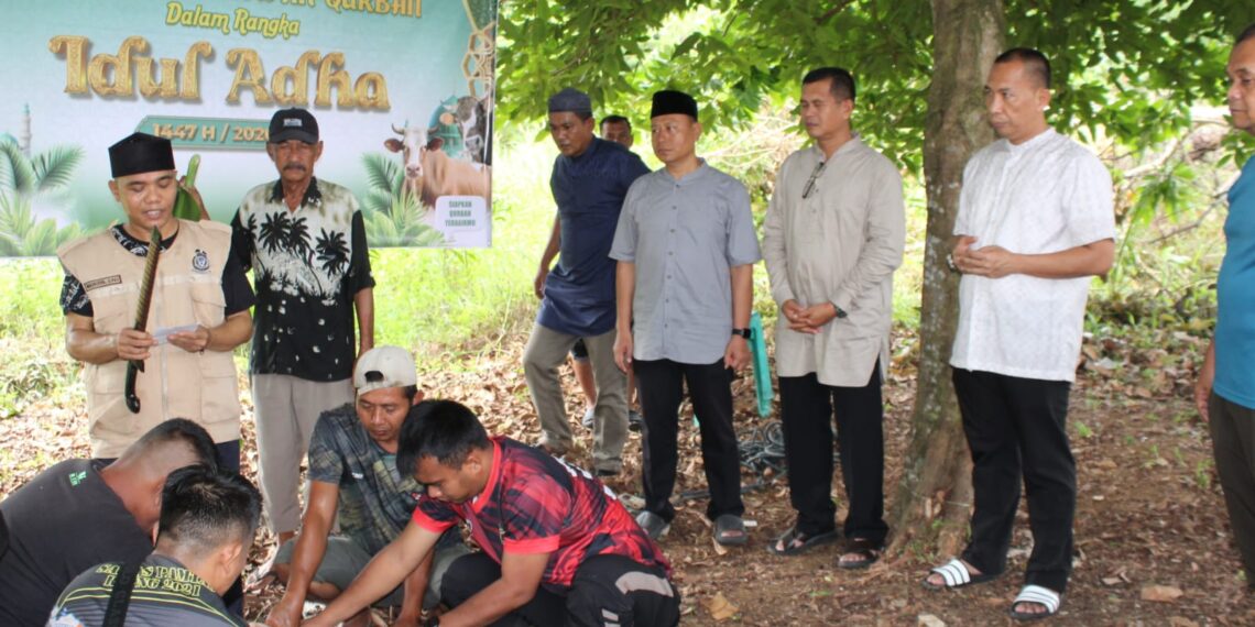 Rayakan Iduladha 1447 H, Kodim 0315/Tanjungpinang Sembelih 4 Sapi dan 1 Kambing untuk Warga Kurang Mampu