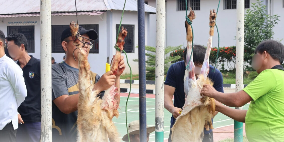 Gema Takbir di Balik Jeruji, Lapas Narkotika Tanjungpinang Gelar Salat Ied dan Kurban Enam Ekor Bersama WBP