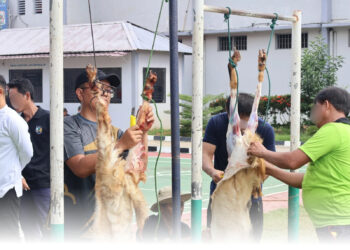 Gema Takbir di Balik Jeruji, Lapas Narkotika Tanjungpinang Gelar Salat Ied dan Kurban Enam Ekor Bersama WBP