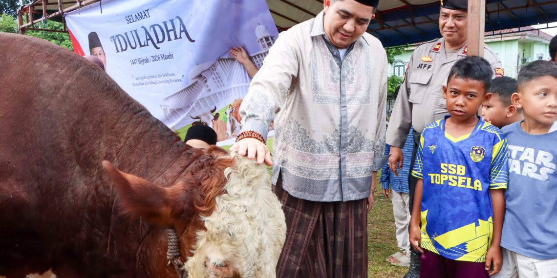 Bupati dan Wakil Bupati Bintan Sholat Idul Adha Bersama Warga, Sapi Kurban Presiden 800 Kg Diserahkan di Toapaya