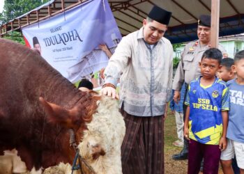 Bupati dan Wakil Bupati Bintan Sholat Idul Adha Bersama Warga, Sapi Kurban Presiden 800 Kg Diserahkan di Toapaya