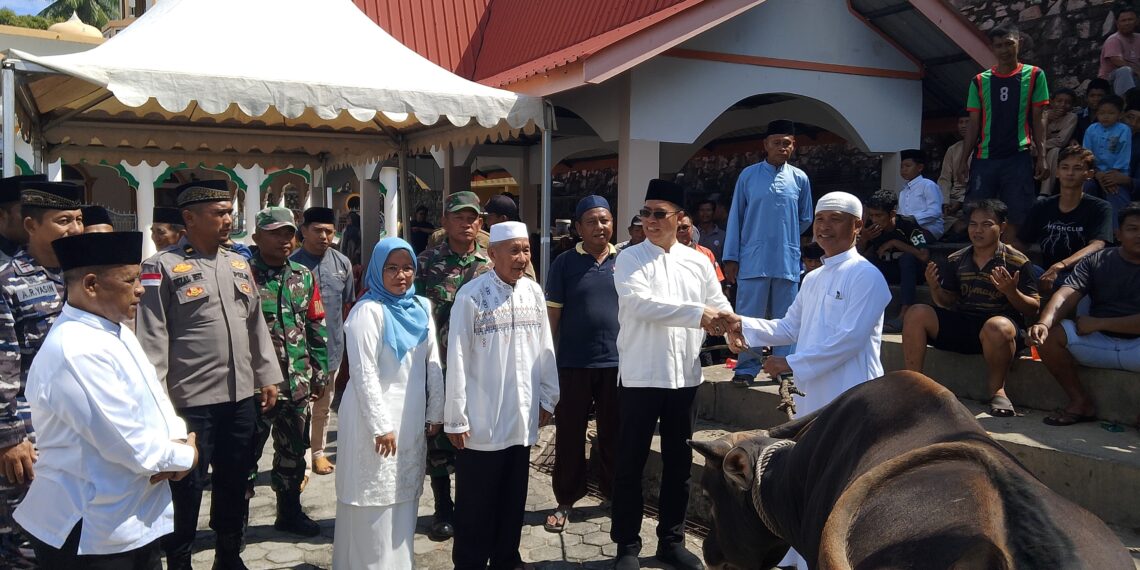 Bupati Anambas Aneng Serahkan Dua Ekor Sapi Kurban Bantuan Presiden RI di Masjid Al Kautsar Letung
