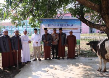 Semarak Iduladha 1447 H, Menteri Nusron Salurkan Hewan Kurban ke Pondok Pesantren Attaqwa