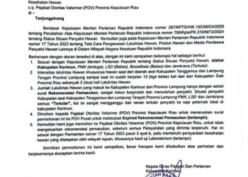 Asosiasi Peternak dan Pedagang Sapi Karimun Mendukung Langkah Pemkab Karimun Terkait Pembatasan Masuknya Sapi dari Lampung