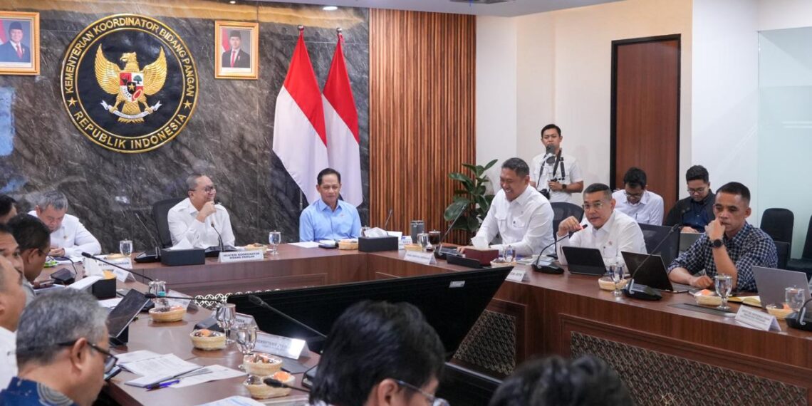 Laporkan Progres Dukungan KSPEAN Papua Selatan, Wamen Ossy Tegaskan Landasan Kuat untuk Agenda Pembangunan Nasional