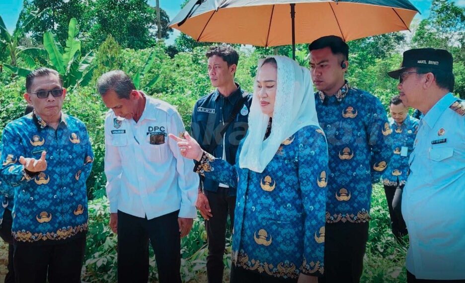 Cegah Banjir Berulang, Pemkab Natuna Fokus Benahi Sungai dan Drainase di Sungai Ulu dan Limau Manis