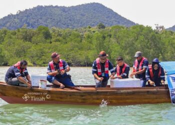 PT TIMAH Restocking 5.600 Ekor Kepiting Bakau di Pesisir Karimun