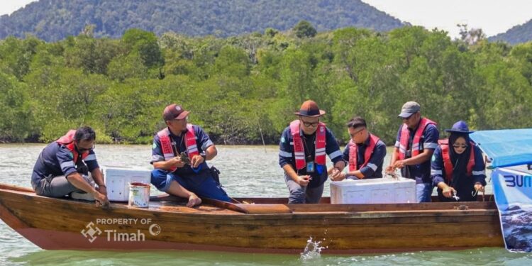 PT TIMAH Restocking 5.600 Ekor Kepiting Bakau di Pesisir Karimun