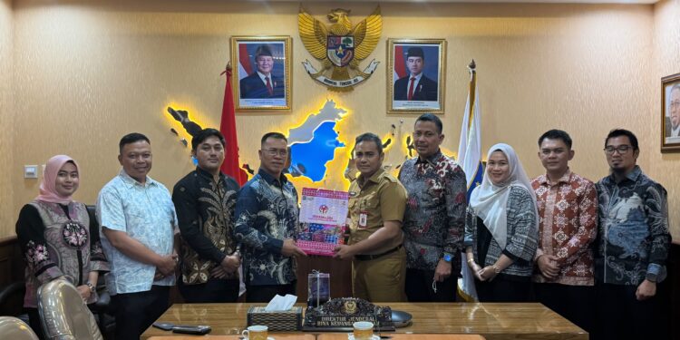 Aneng Perjuangkan Solusi Fiskal Anambas ke Kemendagri