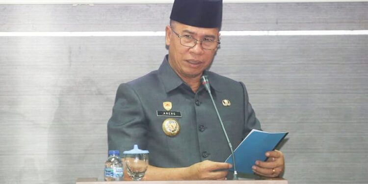 Bupati Anambas Aneng saat Berikan sambutan di acara paripurna Raperda APBD