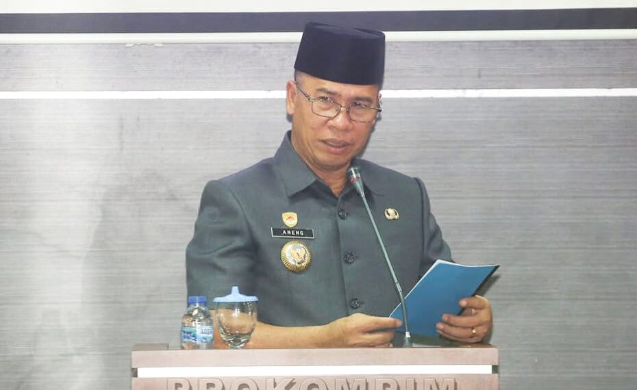 Bupati Anambas Aneng saat Berikan sambutan di acara paripurna Raperda APBD