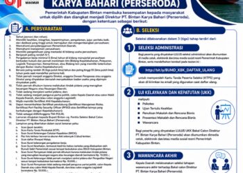 Pemkab Bintan Buka Seleksi Terbuka Komisaris dan Direktur PT Bintan Karya Bahari, Kesempatan Putra-Putri Terbaik Bangun BUMD