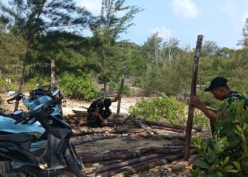 Gandeng Warga, Satgas TMMD Ke-129 Kodim 0315 “Sulap” Teluk Diraja Jadi Kawasan Hijau Mangrove