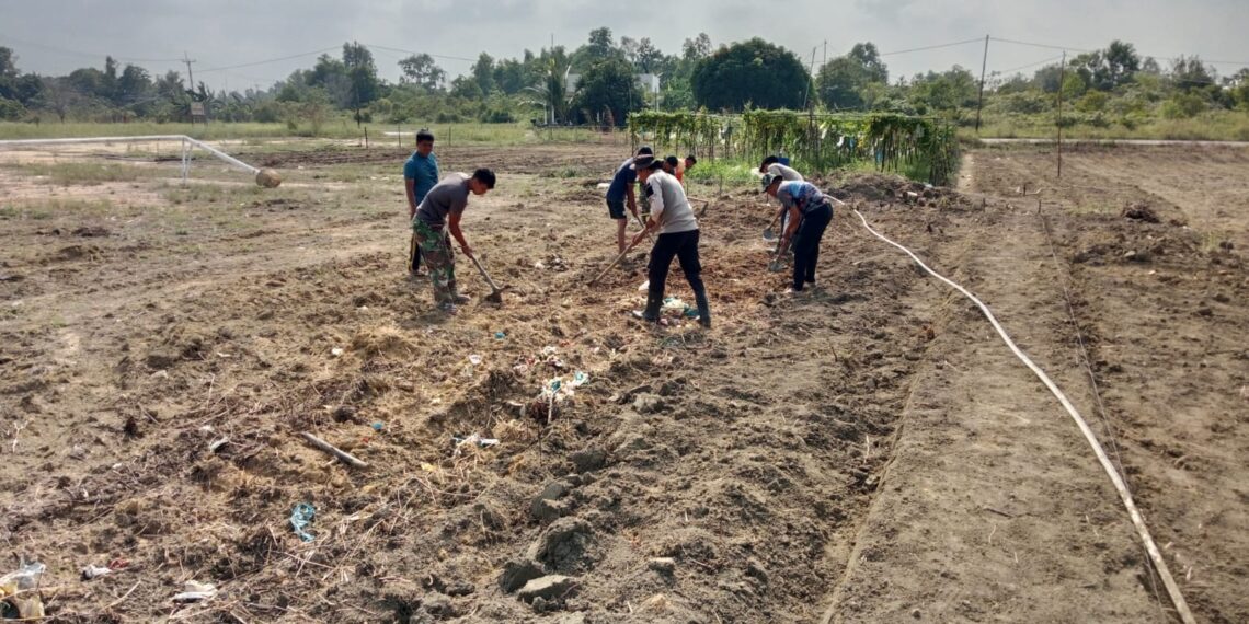 Progres 99 Persen, Satgas TMMD Ke-129 Kebut Penyelesaian Lahan Ketahanan Pangan di Teluk Sasah Bintan