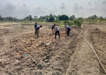 Progres 99 Persen, Satgas TMMD Ke-129 Kebut Penyelesaian Lahan Ketahanan Pangan di Teluk Sasah Bintan