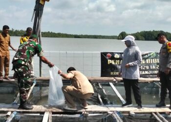 Dorong Ketahanan Pangan, Satgas TMMD Ke-129 Tebar Ribuan Bibit Ikan di Desa Busung Bintan