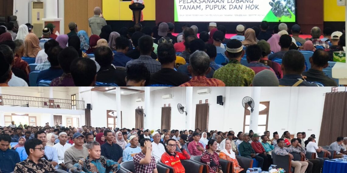 Natuna Kebagian 350 Hektare Hilirisasi Kelapa, Pemkab Dorong Produktivitas Petani