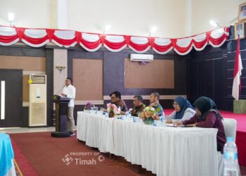 Sinkronisasi Program, PT TIMAH Gelar Konsultasi Publik RIPPM Di Karimun