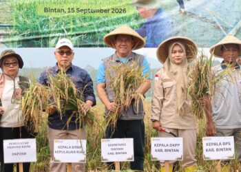 Panen Padi Demplot PM-AAS, Bintan Genjot Produktivitas dan Perkuat Ketahanan Pangan Mandiri