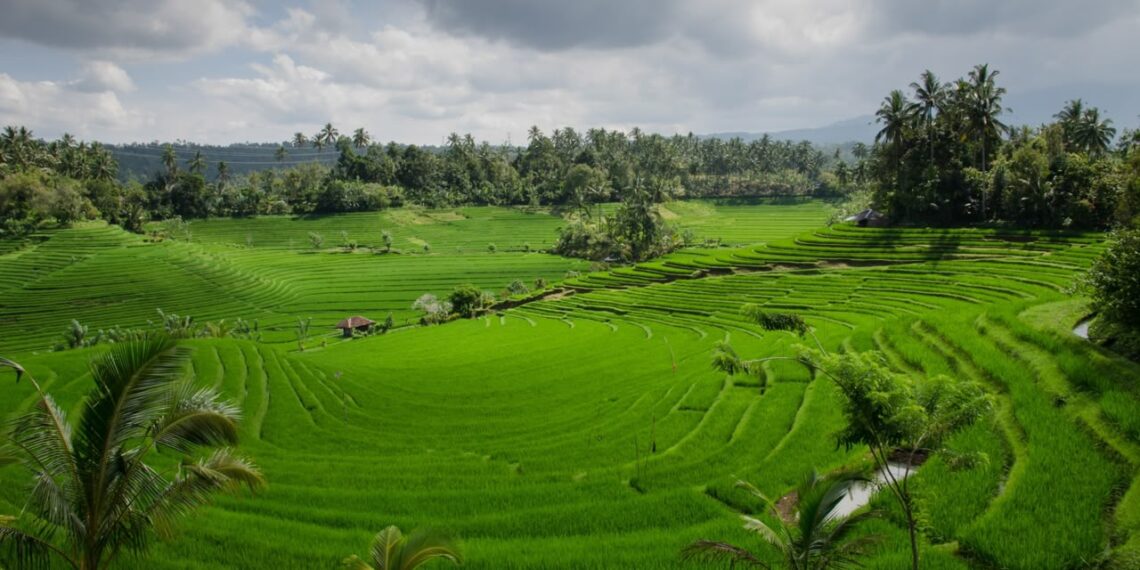 Lampaui Target, LP2B Capai 87,63% di Momen Peringatan 66 Tahun UUPA