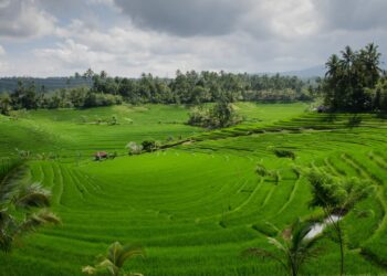 Lampaui Target, LP2B Capai 87,63% di Momen Peringatan 66 Tahun UUPA