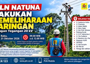 PLN Natuna Kembali Jadwalkan Pemeliharaan Jaringan, Sejumlah Wilayah Terdampak Pemadaman Listrik
