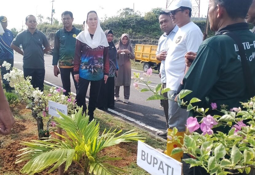 Bupati Cen Sui Lan Gerakkan Penghijauan Jalan Batu Sisir Jadi Proyek Percontohan